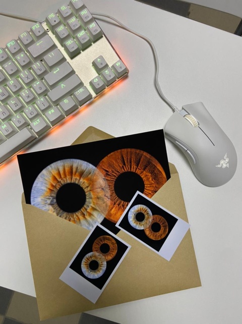 Магистранты ИЭМ получат финансовую поддержку на реализацию стартапа, посвященного фото радужки глаза