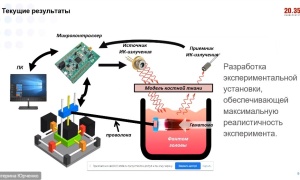 Из презентации авторов проекта